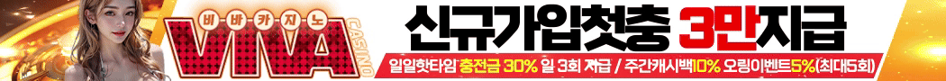 비바카지노